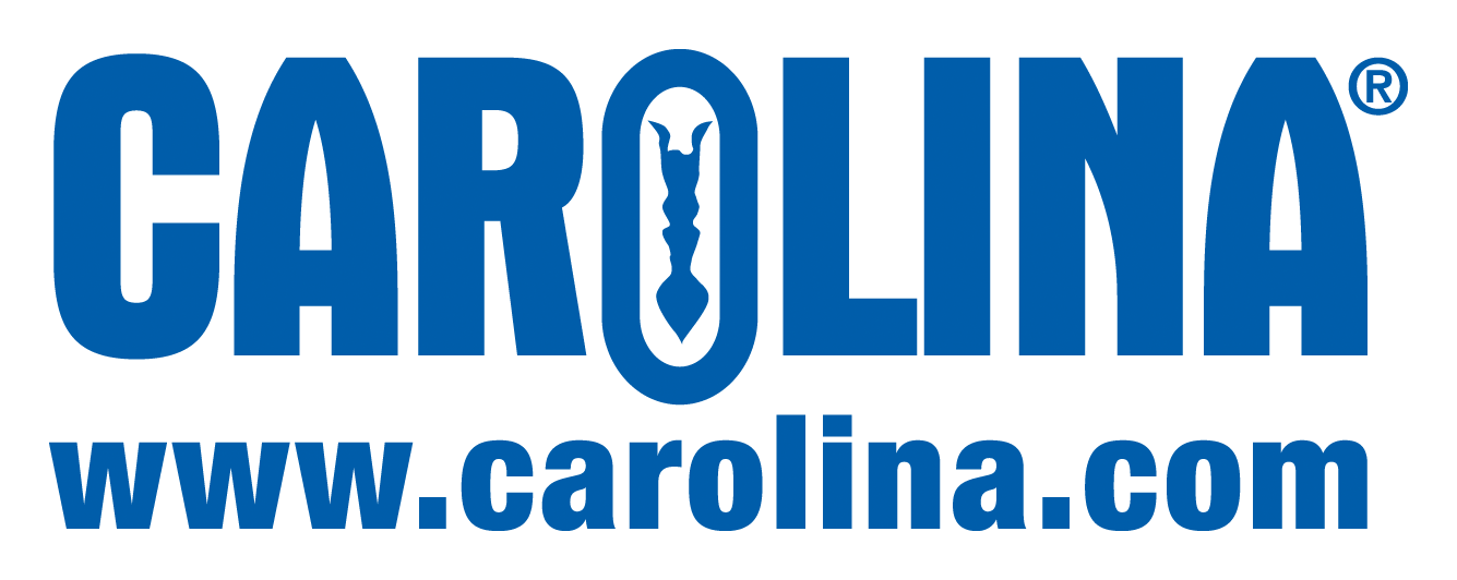 carolina logo and web address