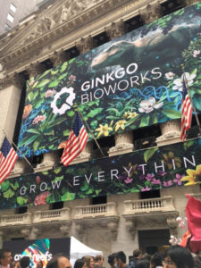 Ginkgo NYSE