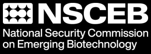 NSCEB logo