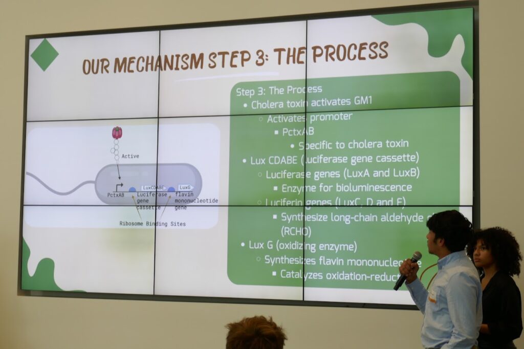 Cholera presentation