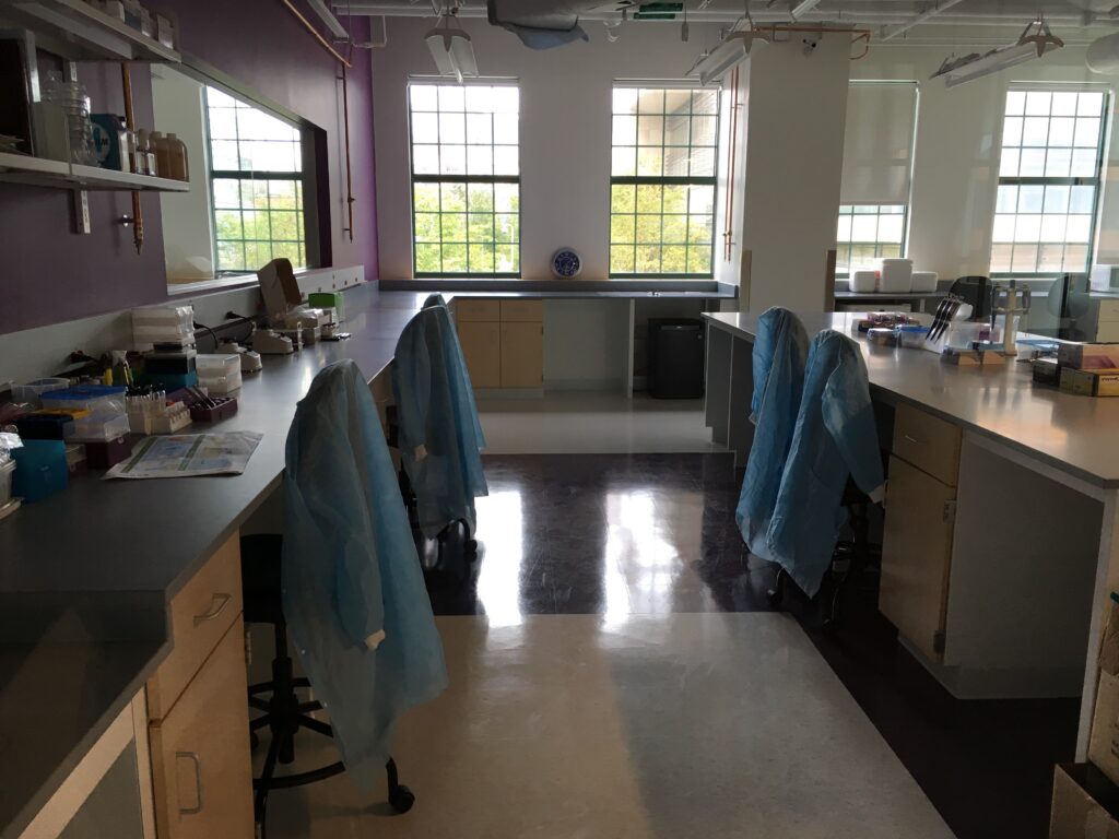 Learning Lab in 2017