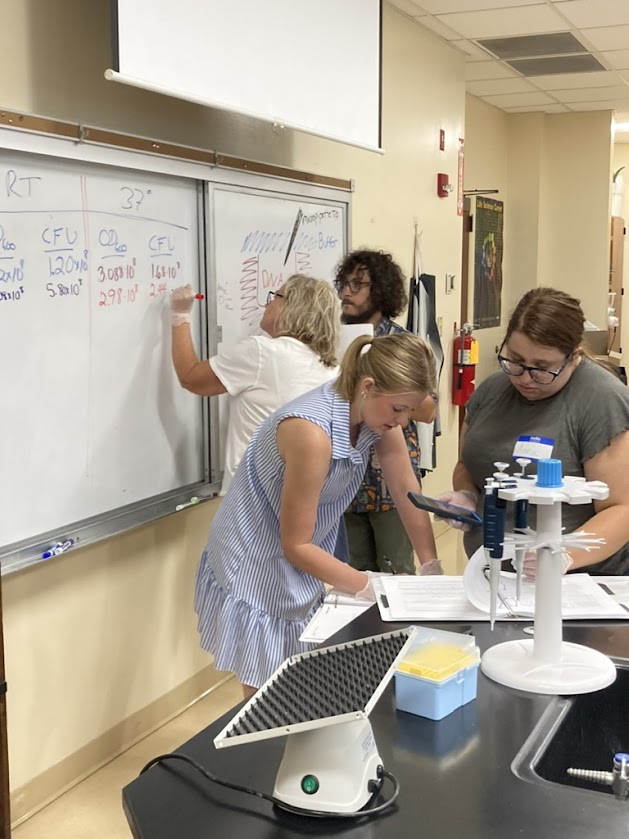 STEM.LD PD 3