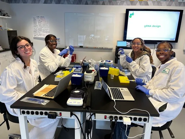 Students working in the lab