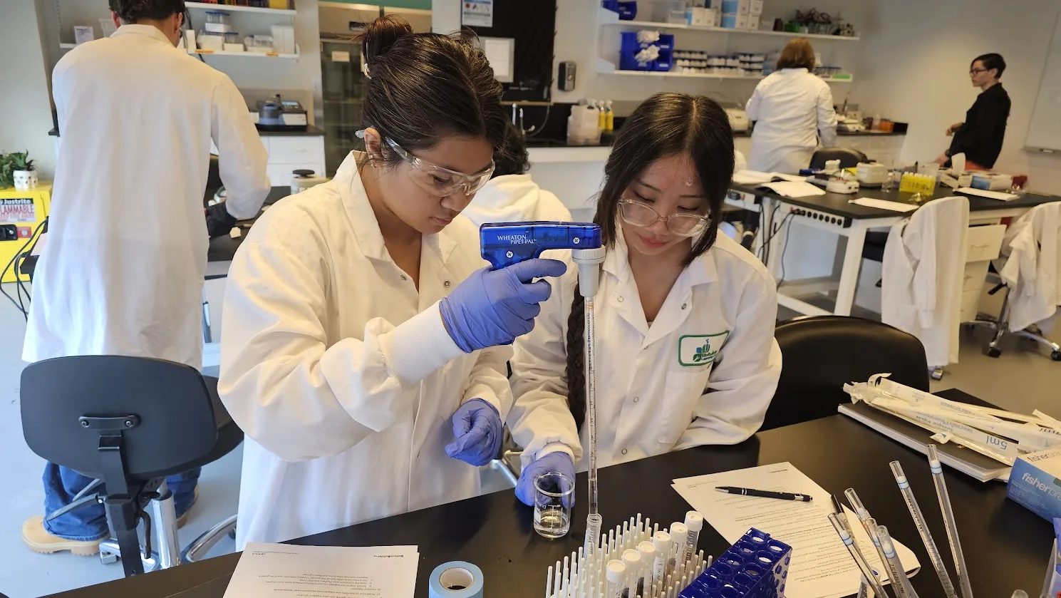 in lab photo 1