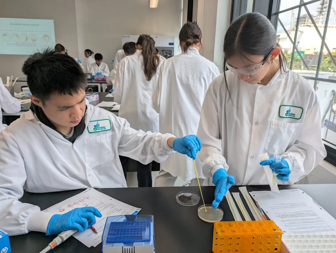 Students working in the lab