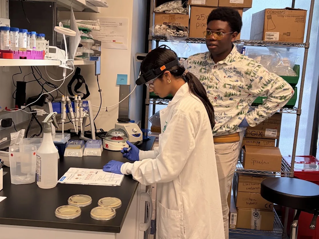 Students working in the lab