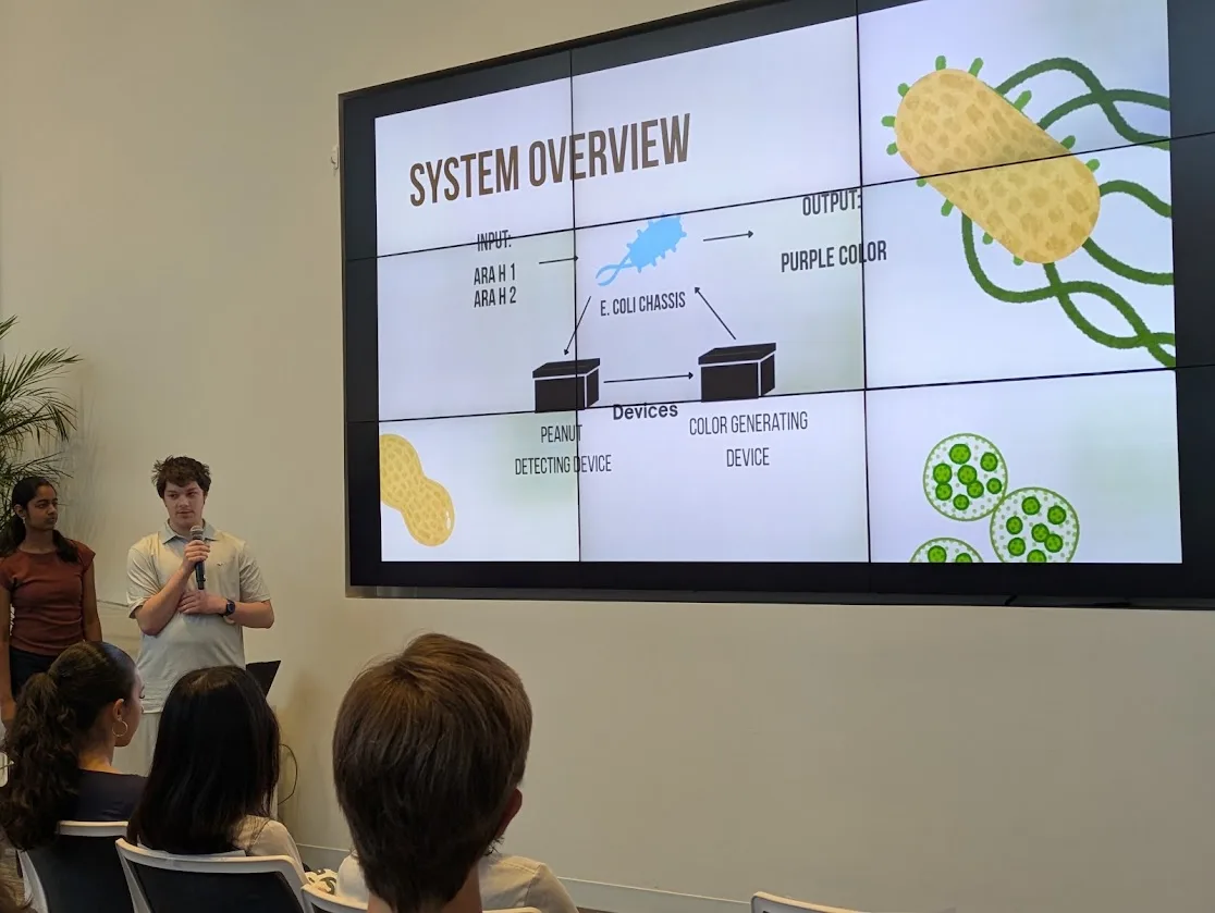 Presentation
