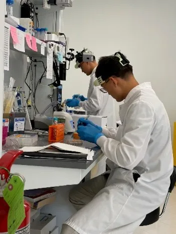 Students working with equipment