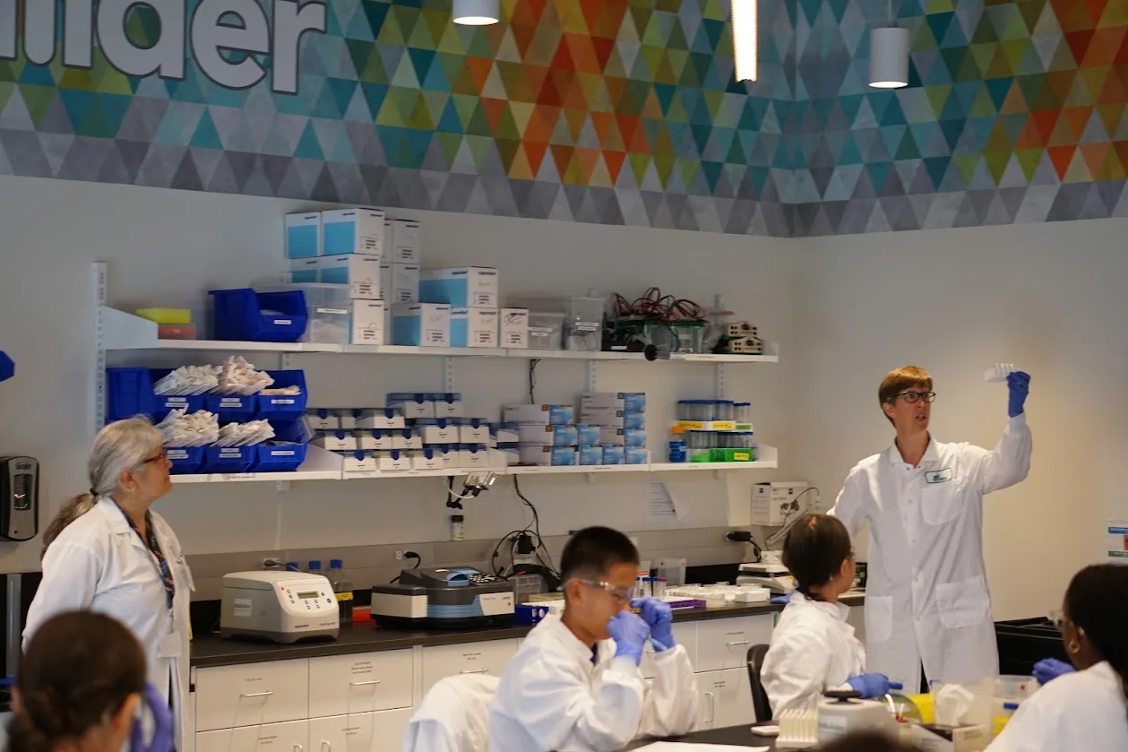 Working in the lab